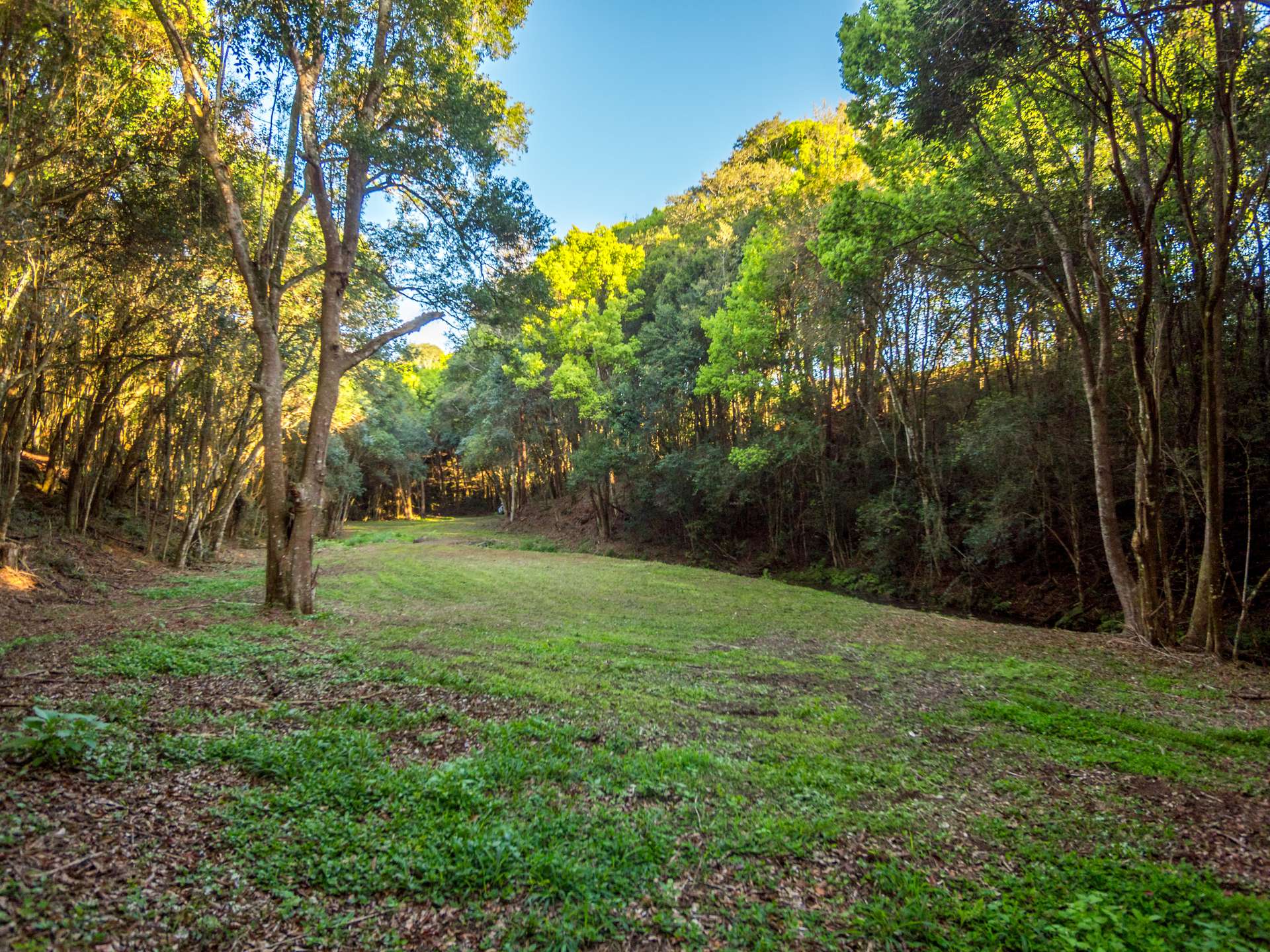 74 Rayward Road, Dunoon For Sale by Farmbuy.com - image 4