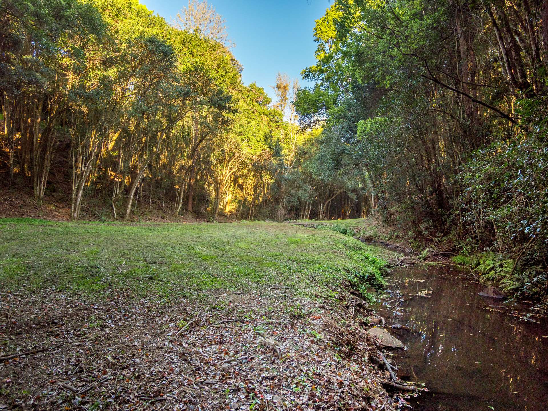74 Rayward Road, Dunoon For Sale by Farmbuy.com - image 10