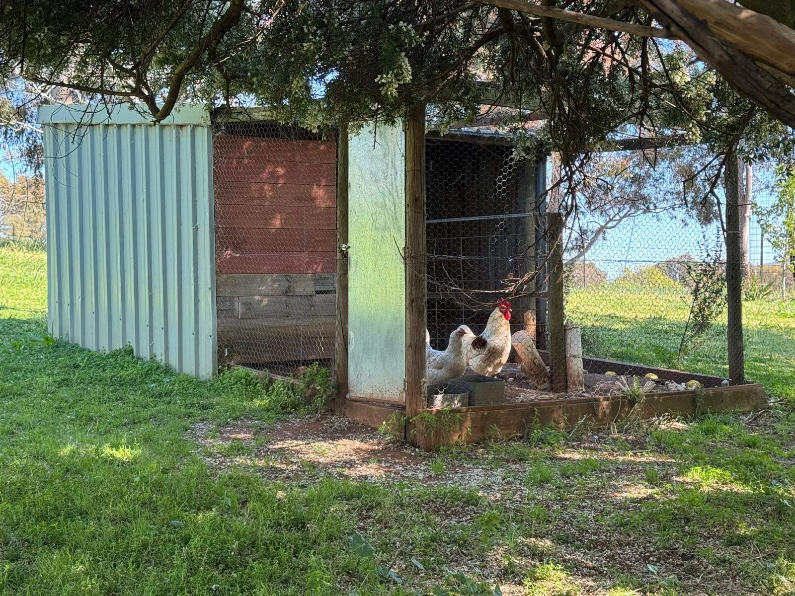 204 Wymah Road, Bowna For Sale by Farmbuy.com - image 29