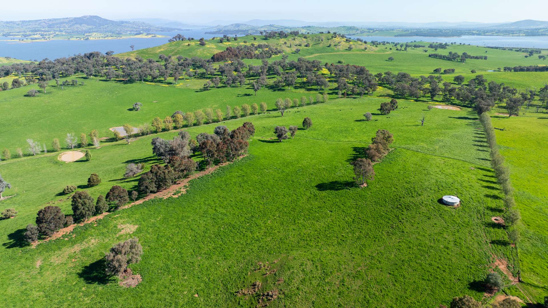 204 Wymah Road, Bowna For Sale by Farmbuy.com - image 7