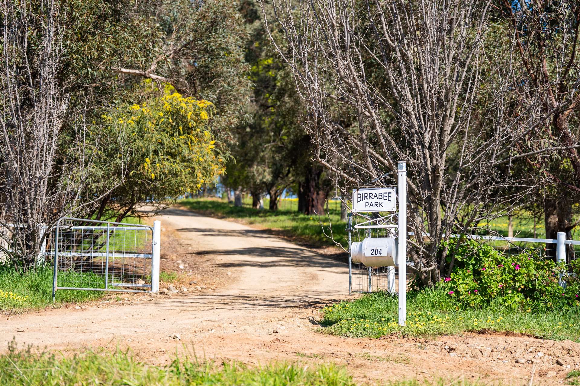 204 Wymah Road, Bowna For Sale by Farmbuy.com - image 2