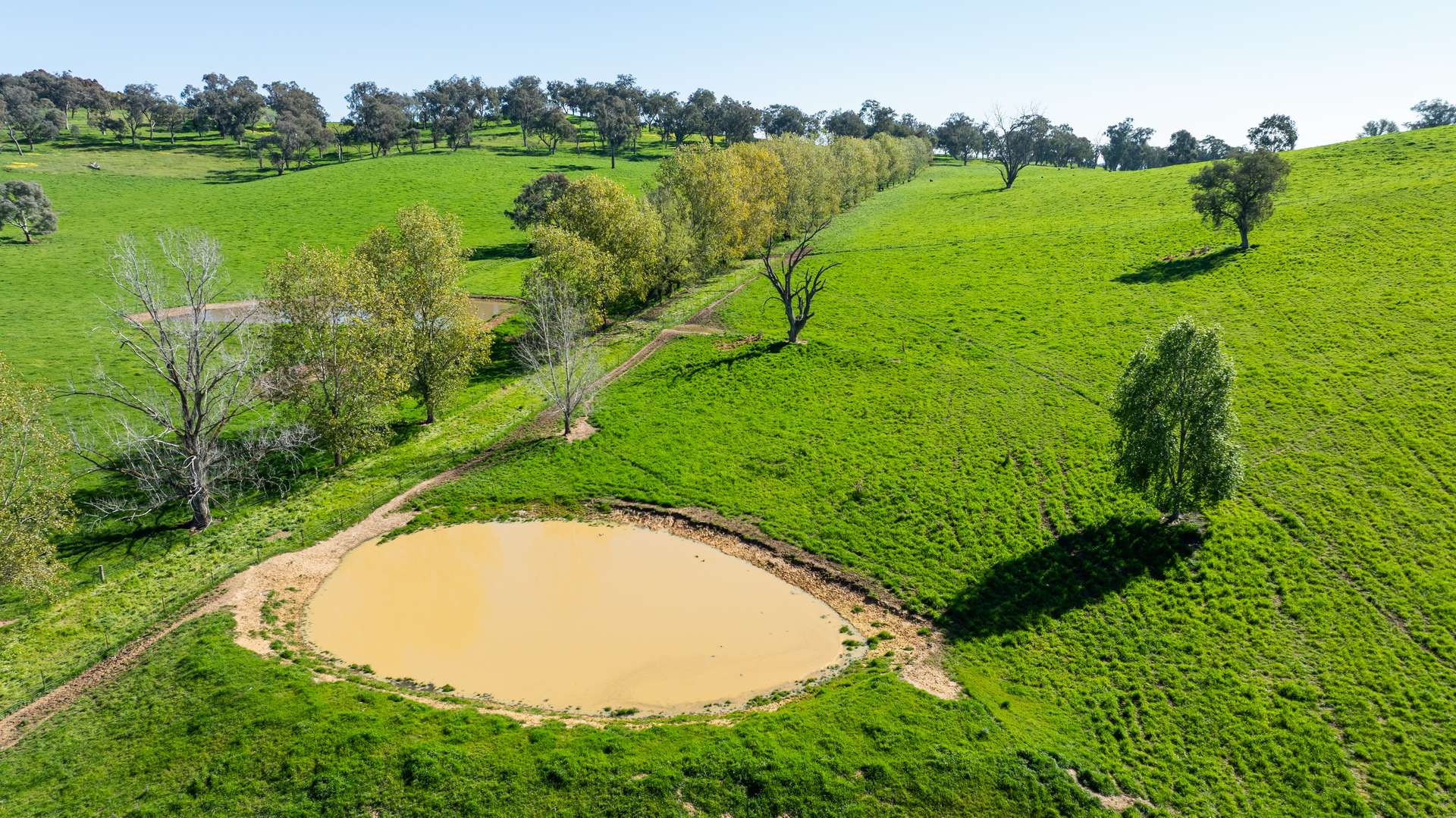 204 Wymah Road, Bowna For Sale by Farmbuy.com - image 35