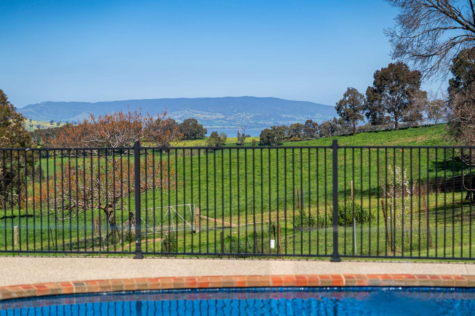 204 Wymah Road, Bowna For Sale by Farmbuy.com - image 19