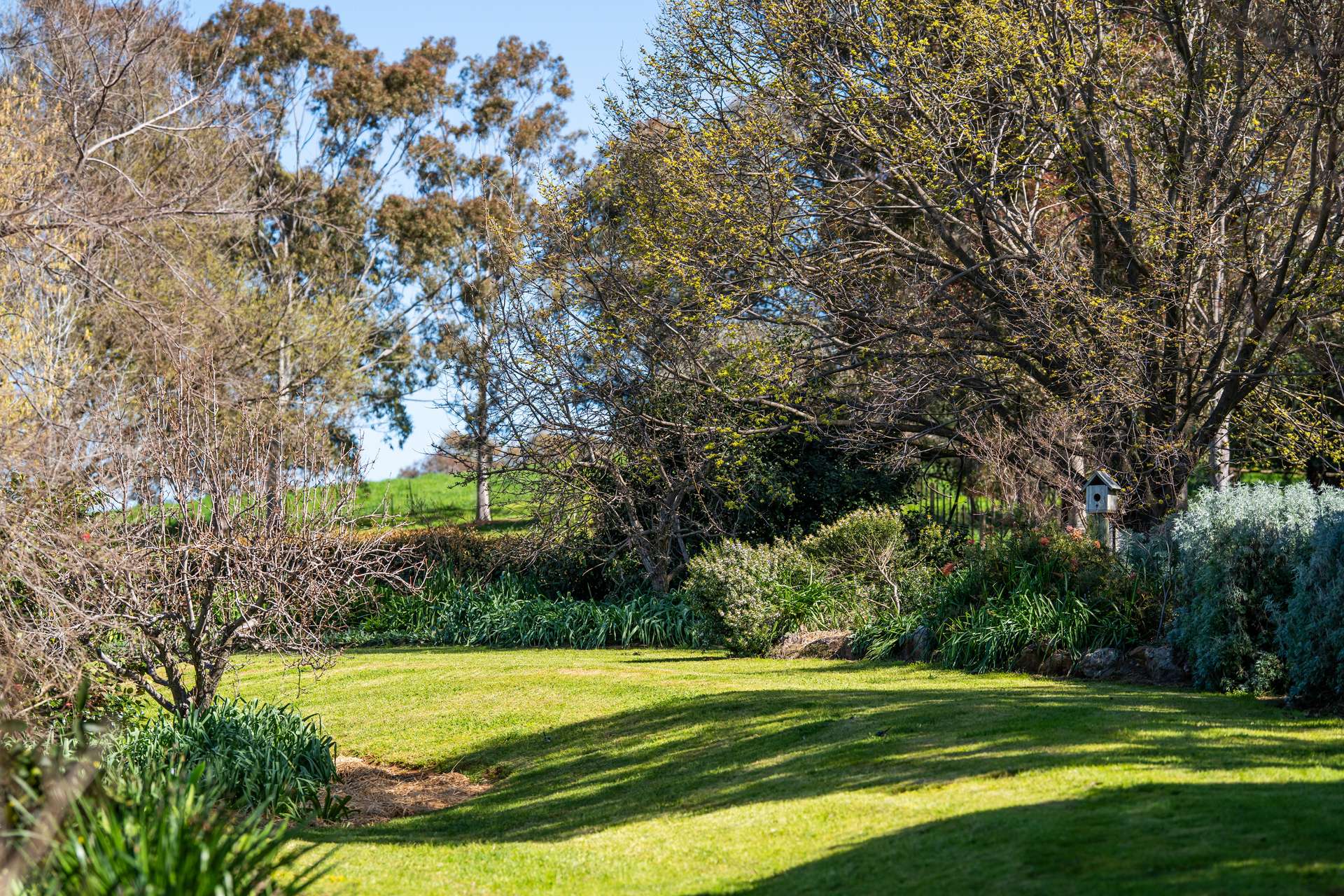 204 Wymah Road, Bowna For Sale by Farmbuy.com - image 11