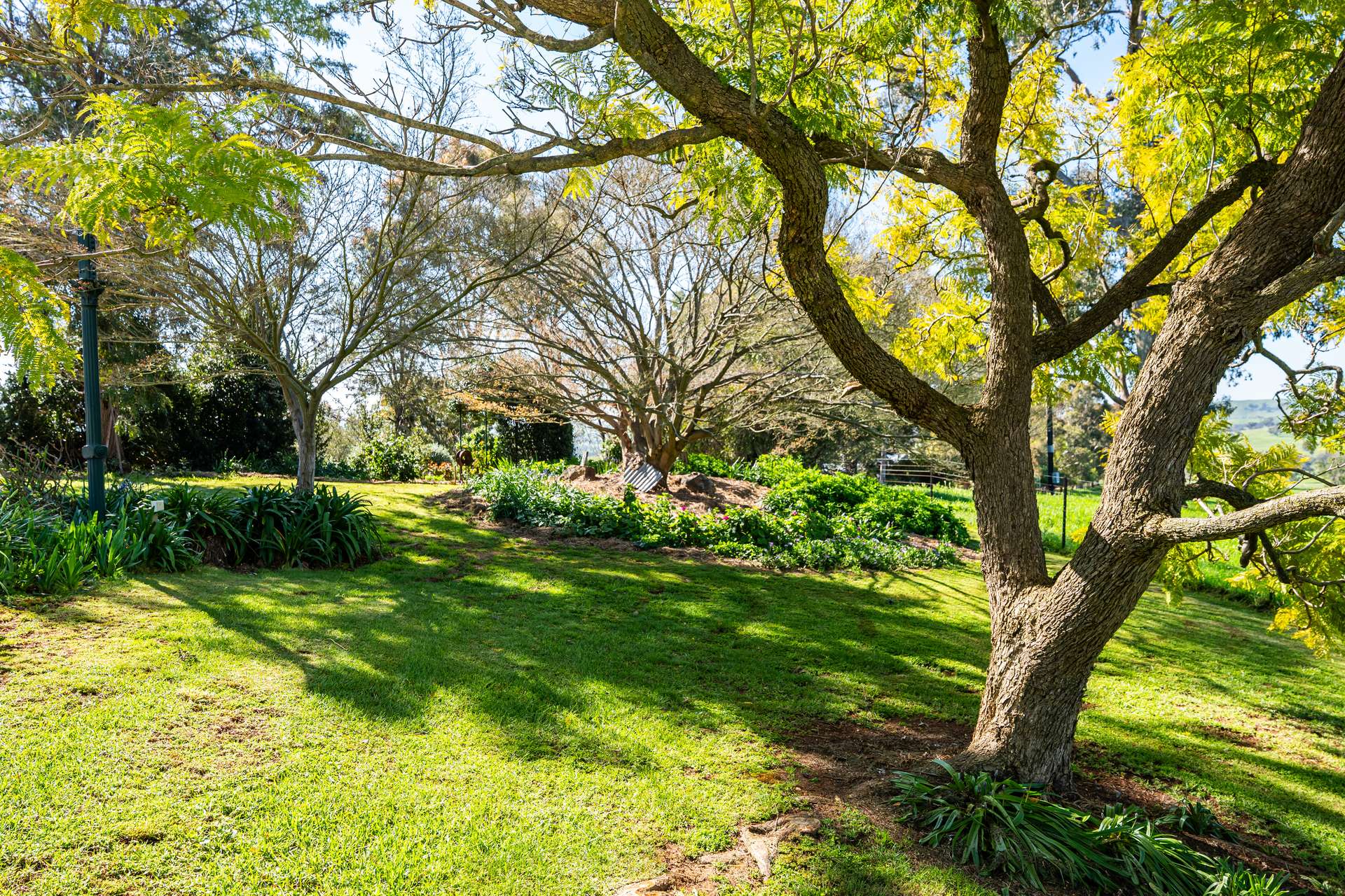 204 Wymah Road, Bowna For Sale by Farmbuy.com - image 22