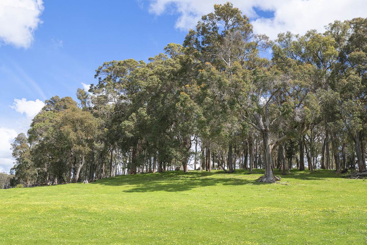 1472 Osmington Road, Osmington For Sale by Farmbuy.com - image 28