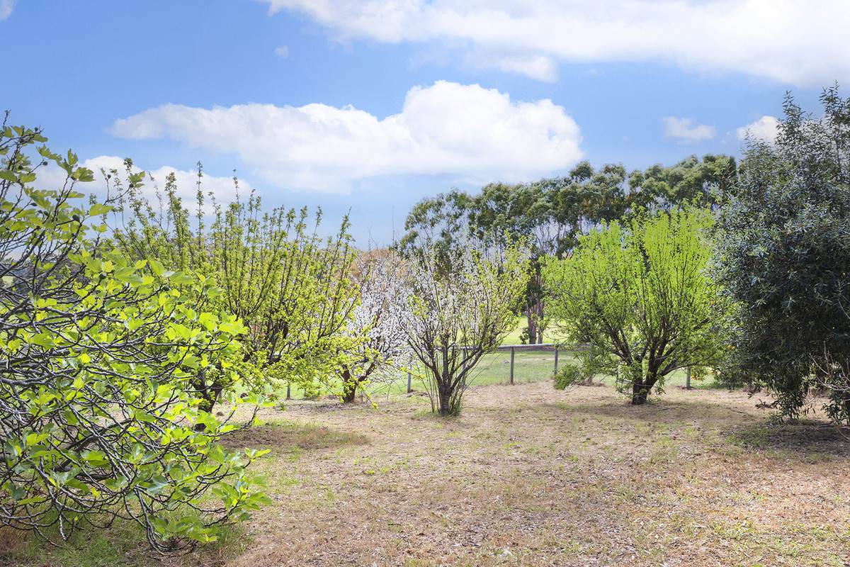 1472 Osmington Road, Osmington For Sale by Farmbuy.com - image 23