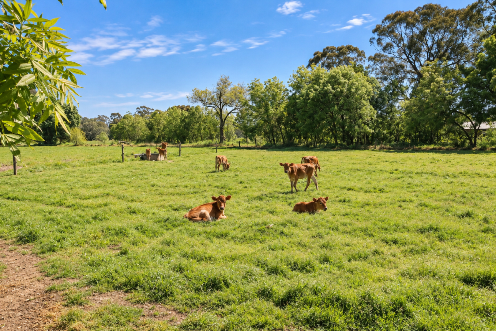 1039 Prairie-Rochester Rd,, Lockington For Sale by Farmbuy.com - image 31