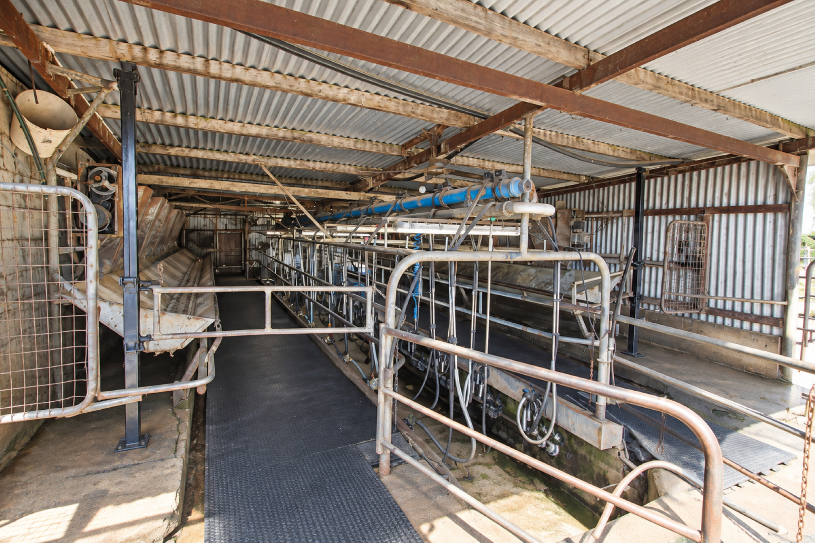 1039 Prairie-Rochester Rd,, Lockington For Sale by Farmbuy.com - image 28