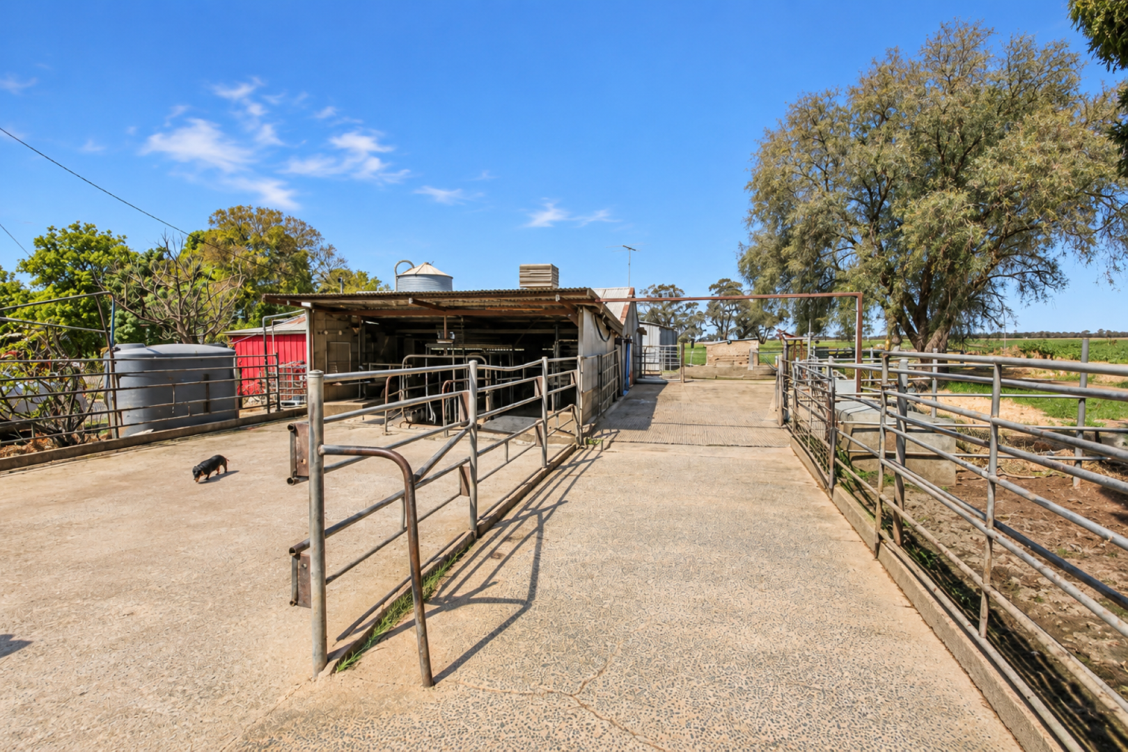 1039 Prairie-Rochester Rd,, Lockington For Sale by Farmbuy.com - image 27