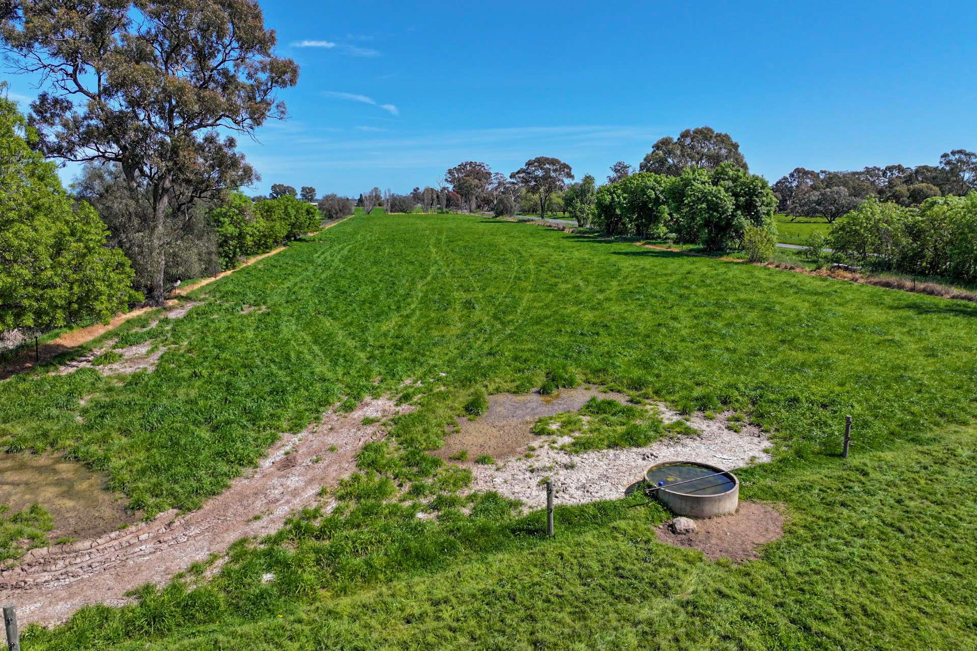 1039 Prairie-Rochester Rd,, Lockington For Sale by Farmbuy.com - image 6