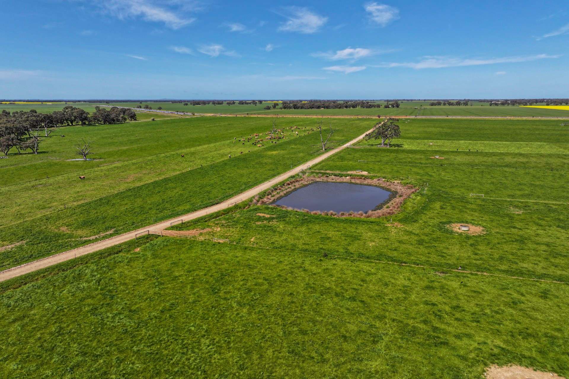 1039 Prairie-Rochester Rd,, Lockington For Sale by Farmbuy.com - image 8