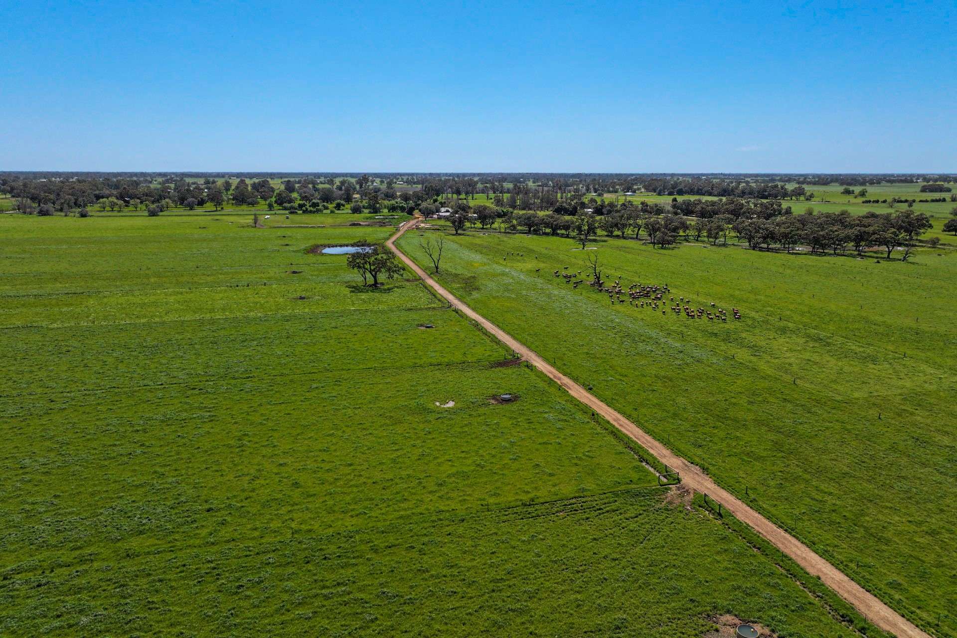 1039 Prairie-Rochester Rd,, Lockington For Sale by Farmbuy.com - image 11