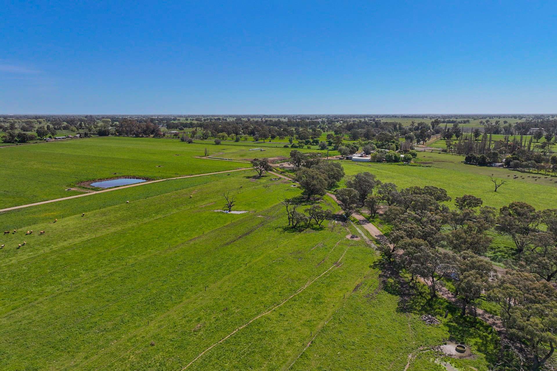 1039 Prairie-Rochester Rd,, Lockington For Sale by Farmbuy.com - image 10