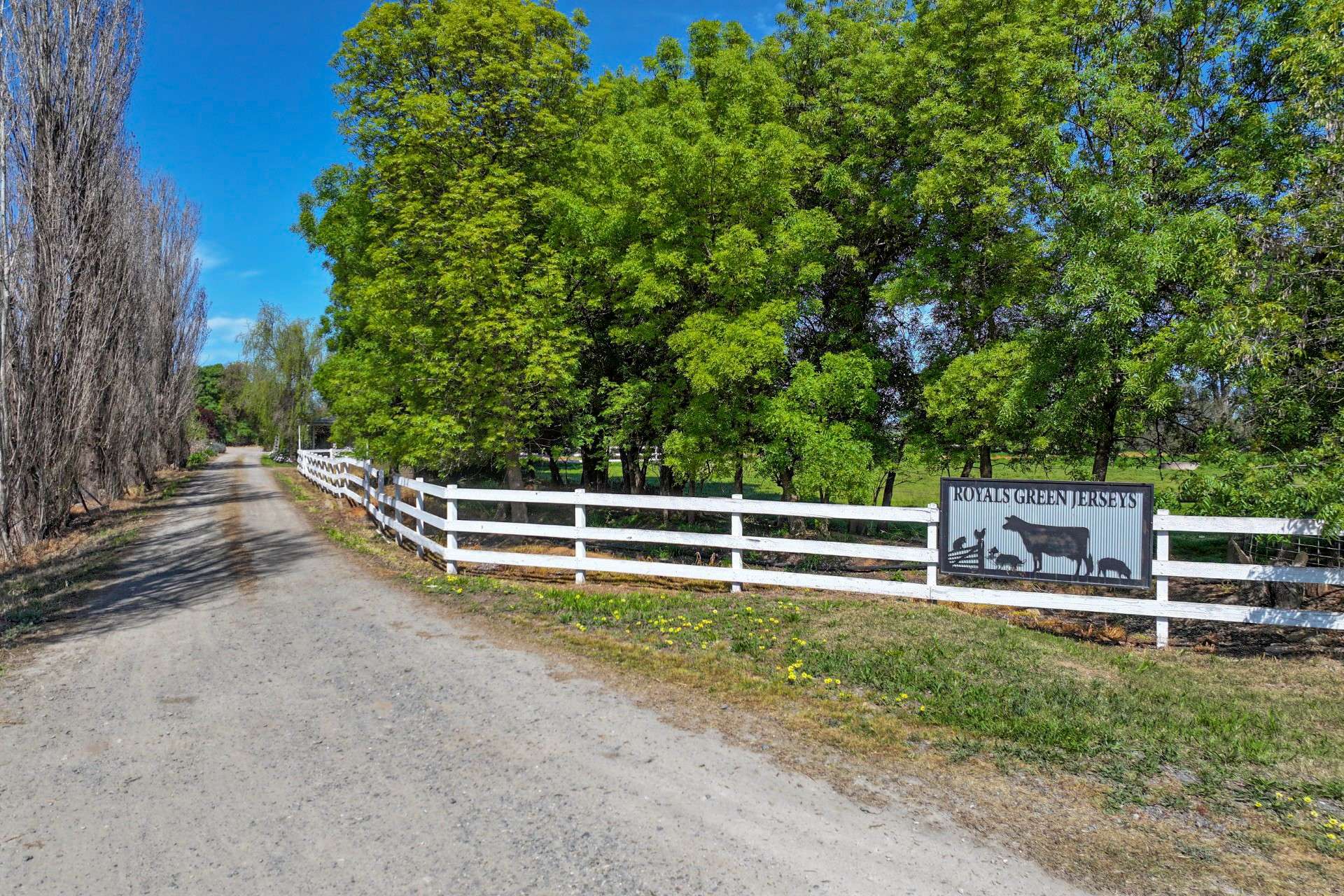 1039 Prairie-Rochester Rd,, Lockington For Sale by Farmbuy.com - image 3