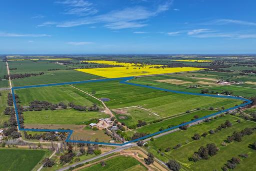 Farm For Sale - VIC - Lockington - 3563 - PRODUCTIVE 135 ACRE DAIRY FARM WITH QUALITY INFRASTRUCTURE & FAMILY HOME 