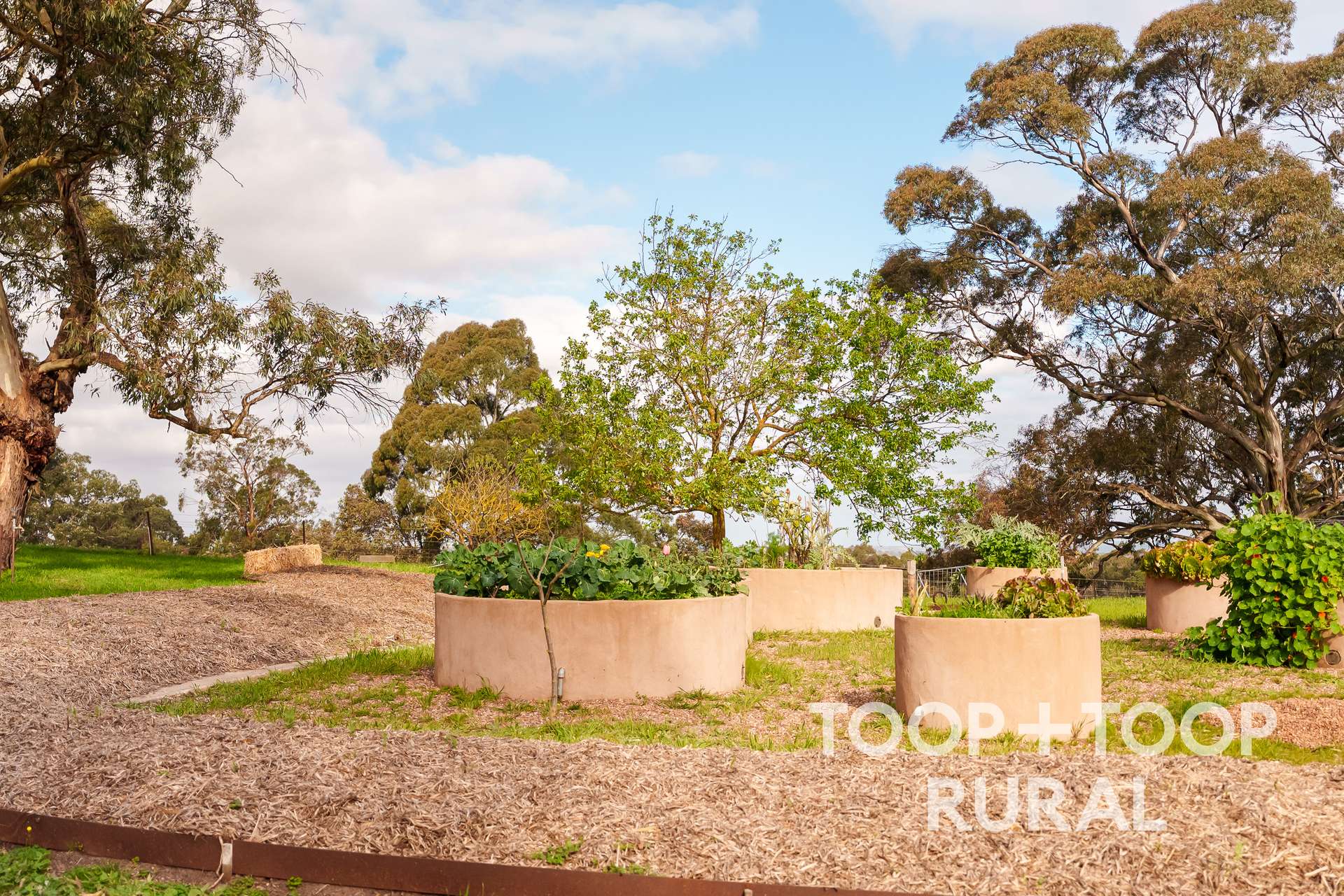 406 Seven Steps Road, Flaxman Valley For Sale by Farmbuy.com - image 18