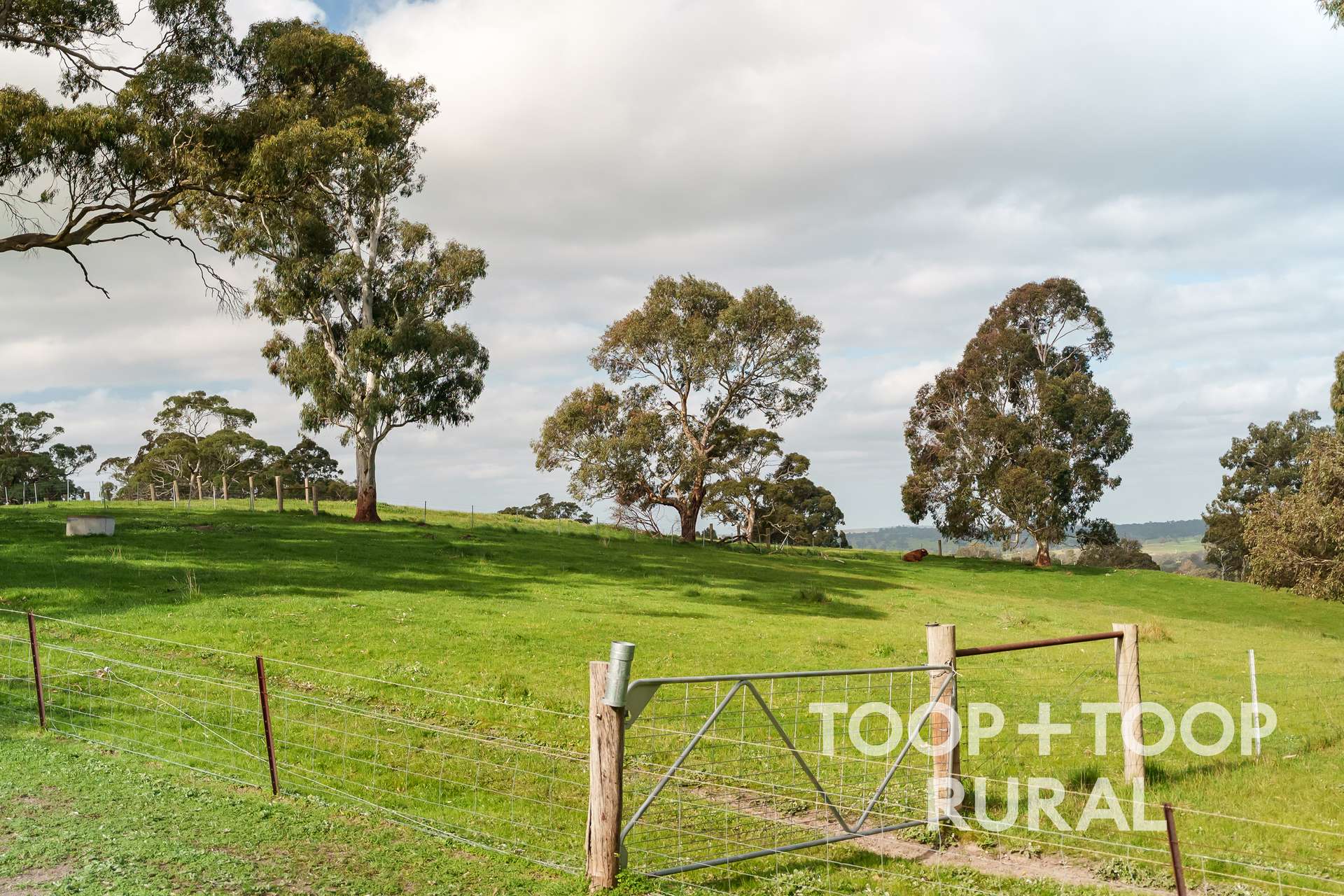 406 Seven Steps Road, Flaxman Valley For Sale by Farmbuy.com - image 19