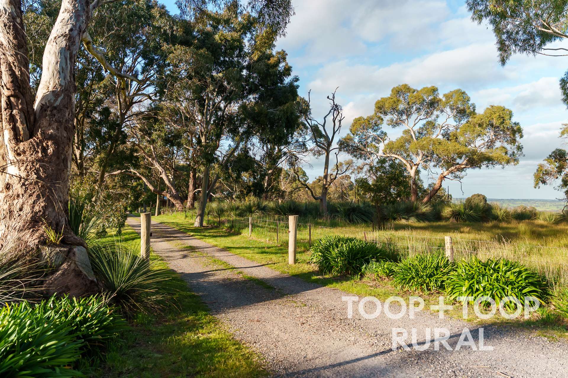 406 Seven Steps Road, Flaxman Valley For Sale by Farmbuy.com - image 27