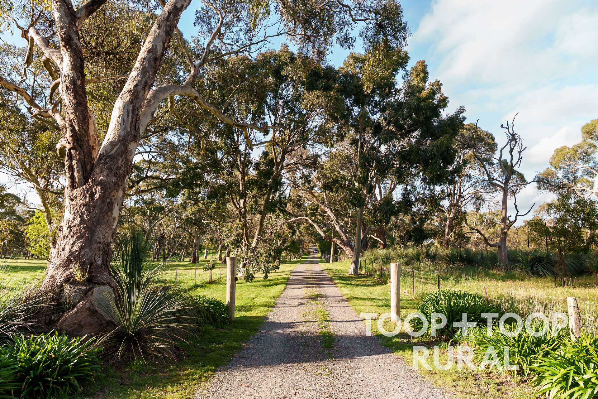 406 Seven Steps Road, Flaxman Valley For Sale by Farmbuy.com - image 3
