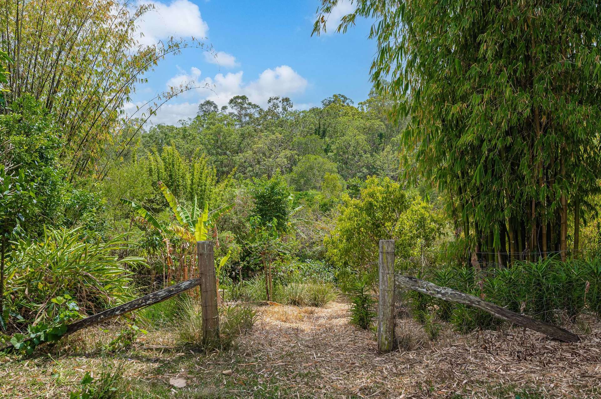 35/65 Kilcoy Lane, Conondale For Sale by Farmbuy.com - image 21