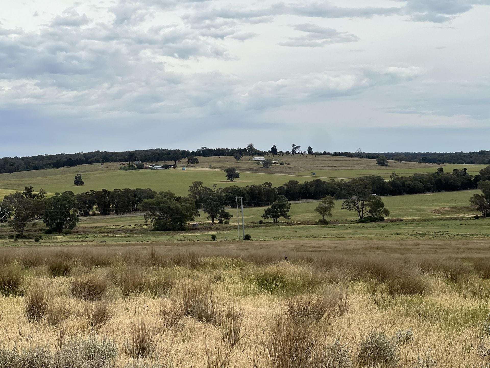 1157 Coonabarabran Road, Mendooran For Sale by Farmbuy.com - image 2