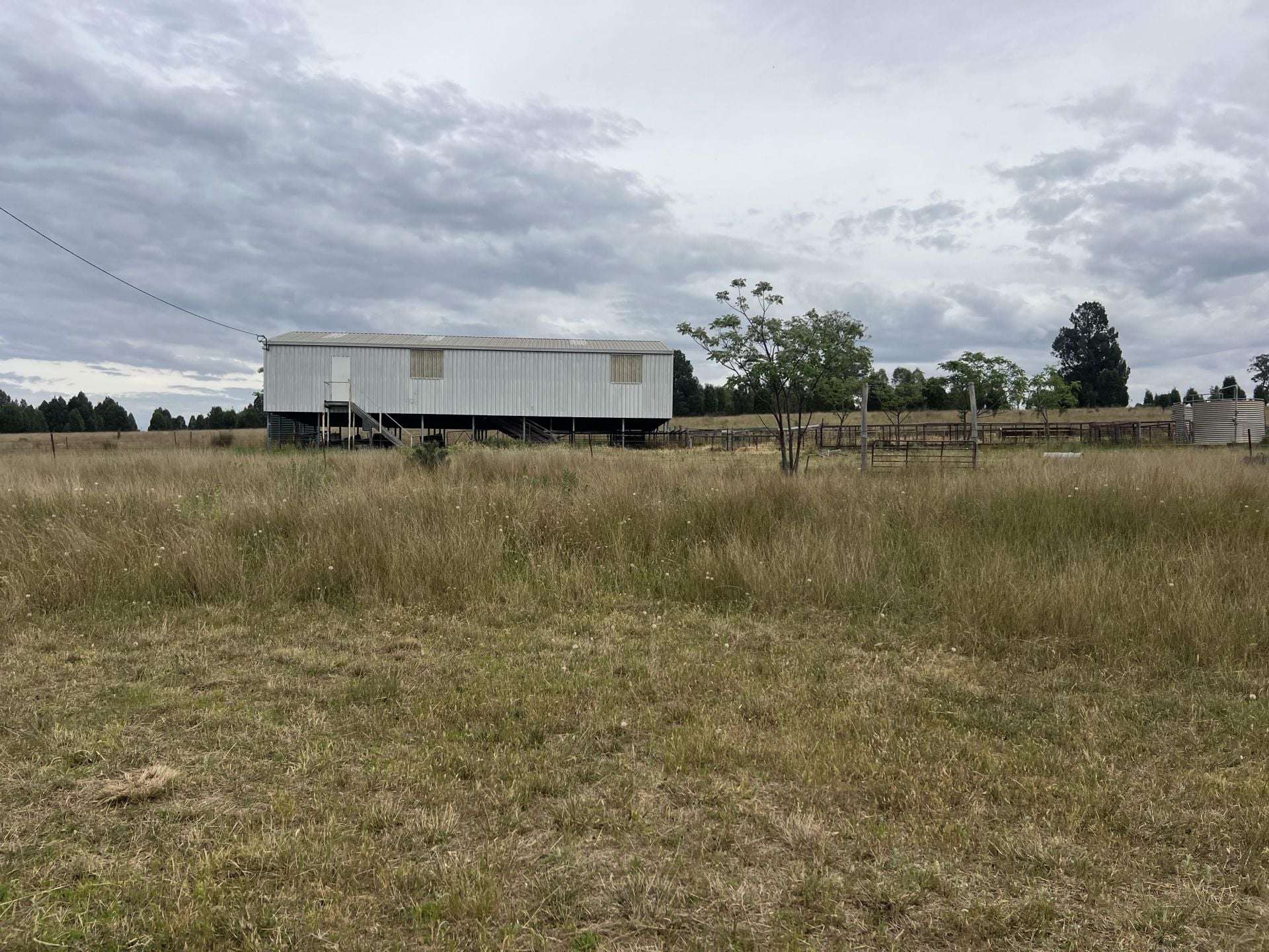 1157 Coonabarabran Road, Mendooran For Sale by Farmbuy.com - image 6