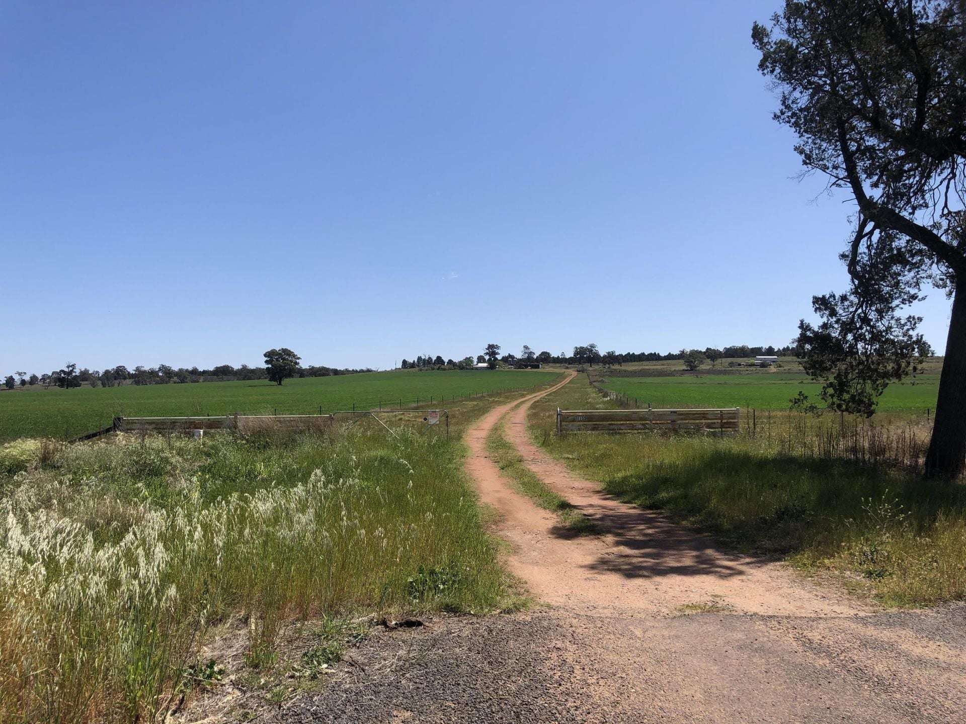 1157 Coonabarabran Road, Mendooran For Sale by Farmbuy.com - image 3