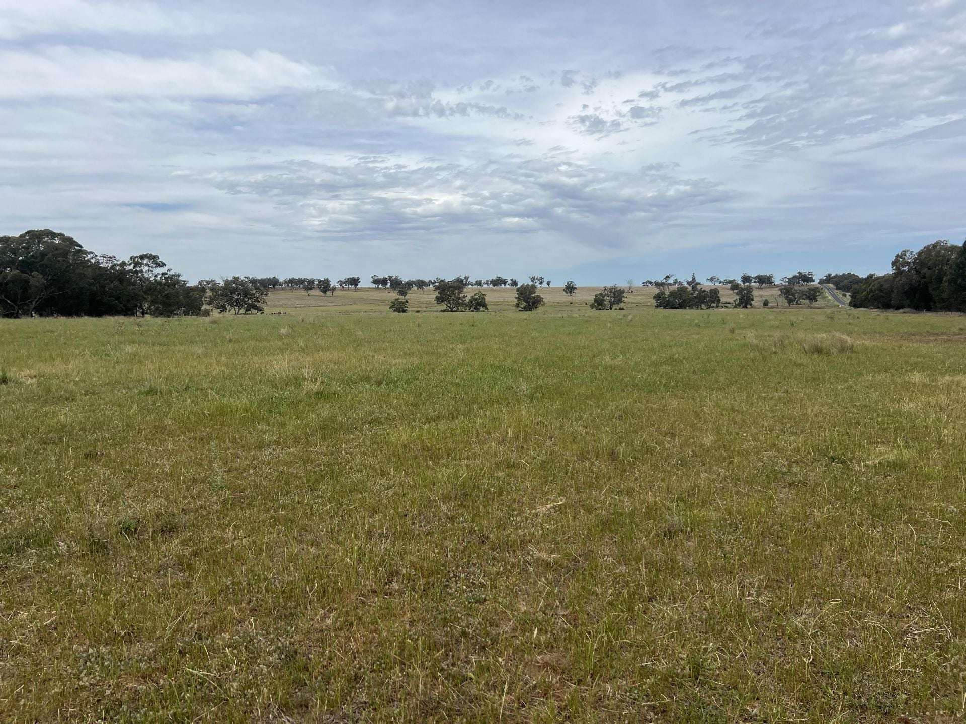 1157 Coonabarabran Road, Mendooran For Sale by Farmbuy.com - image 5