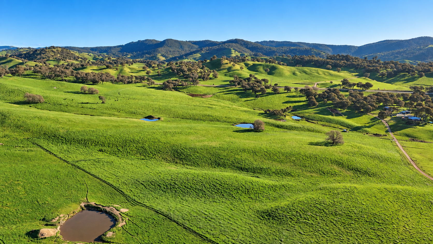 Kimball Cottage 676 Gocup Road, Tumut Auction by Farmbuy.com - image 4