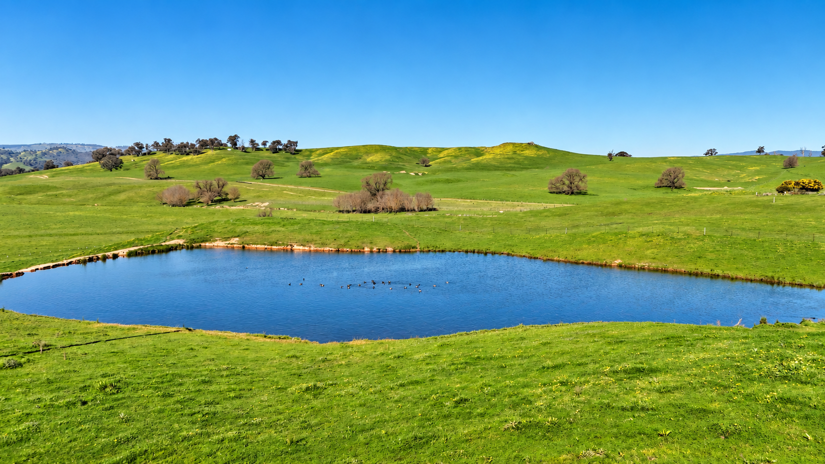 Kimball Cottage 676 Gocup Road, Tumut Auction by Farmbuy.com - image 2