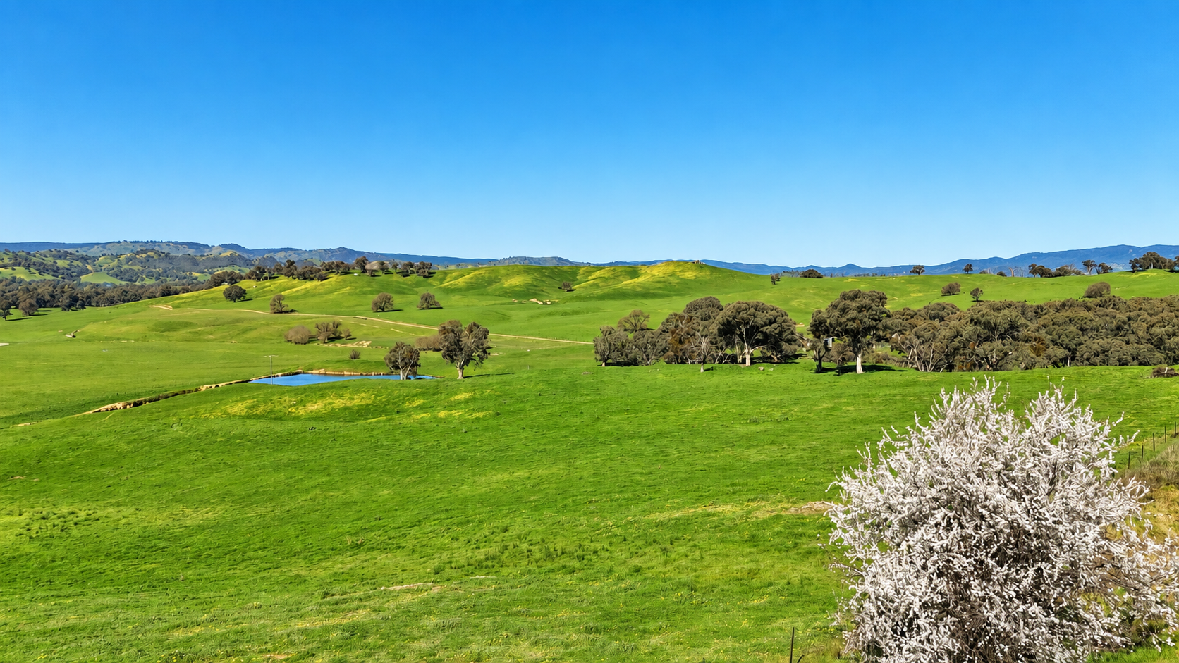 Kimball Cottage 676 Gocup Road, Tumut Auction by Farmbuy.com - image 14