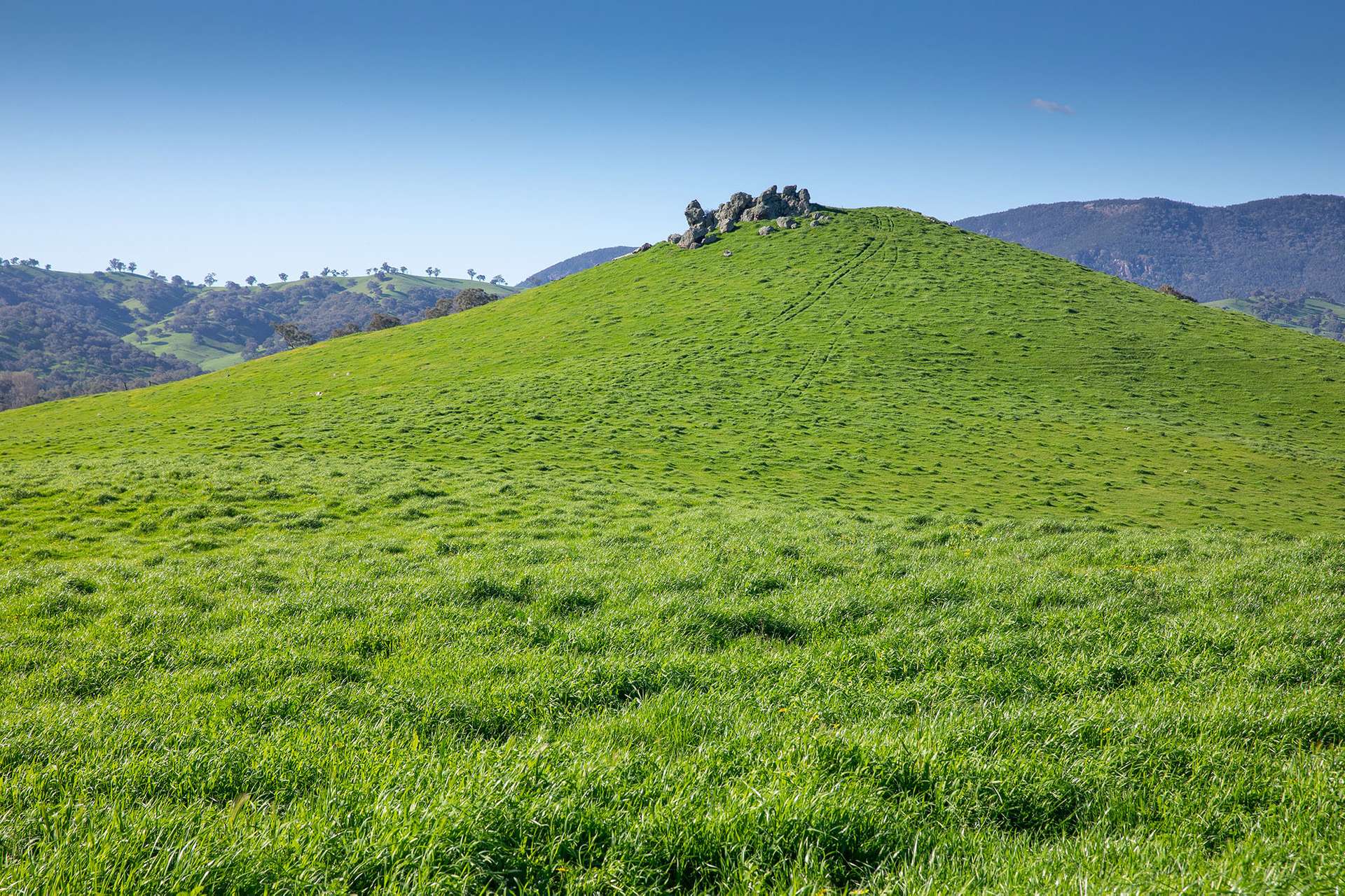 Kimball Cottage 676 Gocup Road, Tumut Auction by Farmbuy.com - image 9