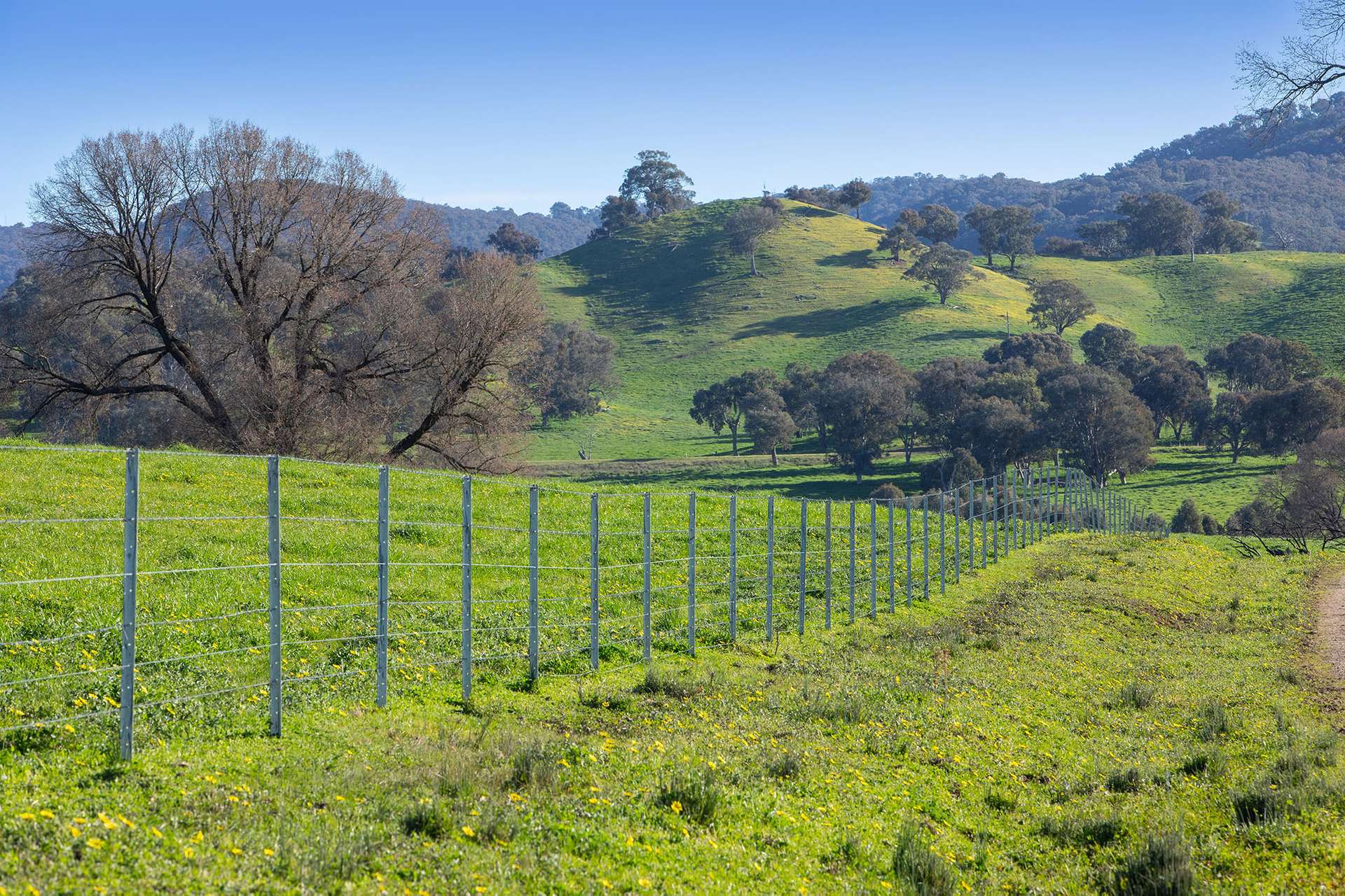 Kimball Cottage 676 Gocup Road, Tumut Auction by Farmbuy.com - image 8