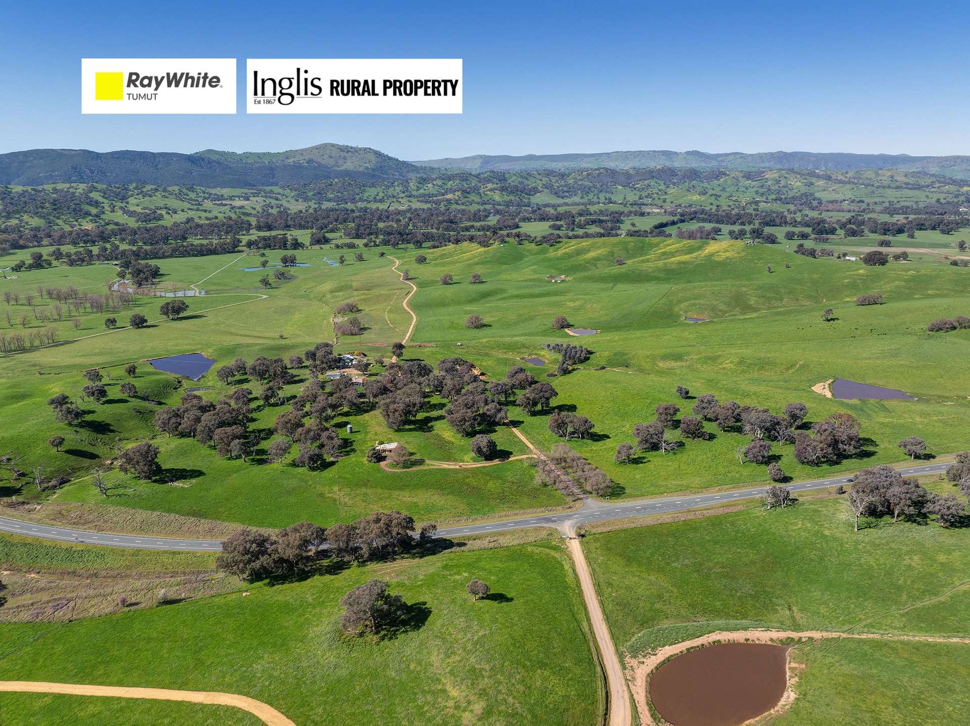 Kimball Cottage 676 Gocup Road, Tumut Auction by Farmbuy.com - image 1