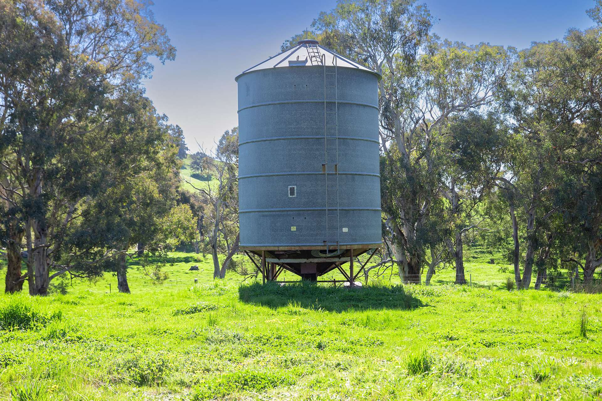 Kimball Cottage 676 Gocup Road, Tumut Auction by Farmbuy.com - image 22