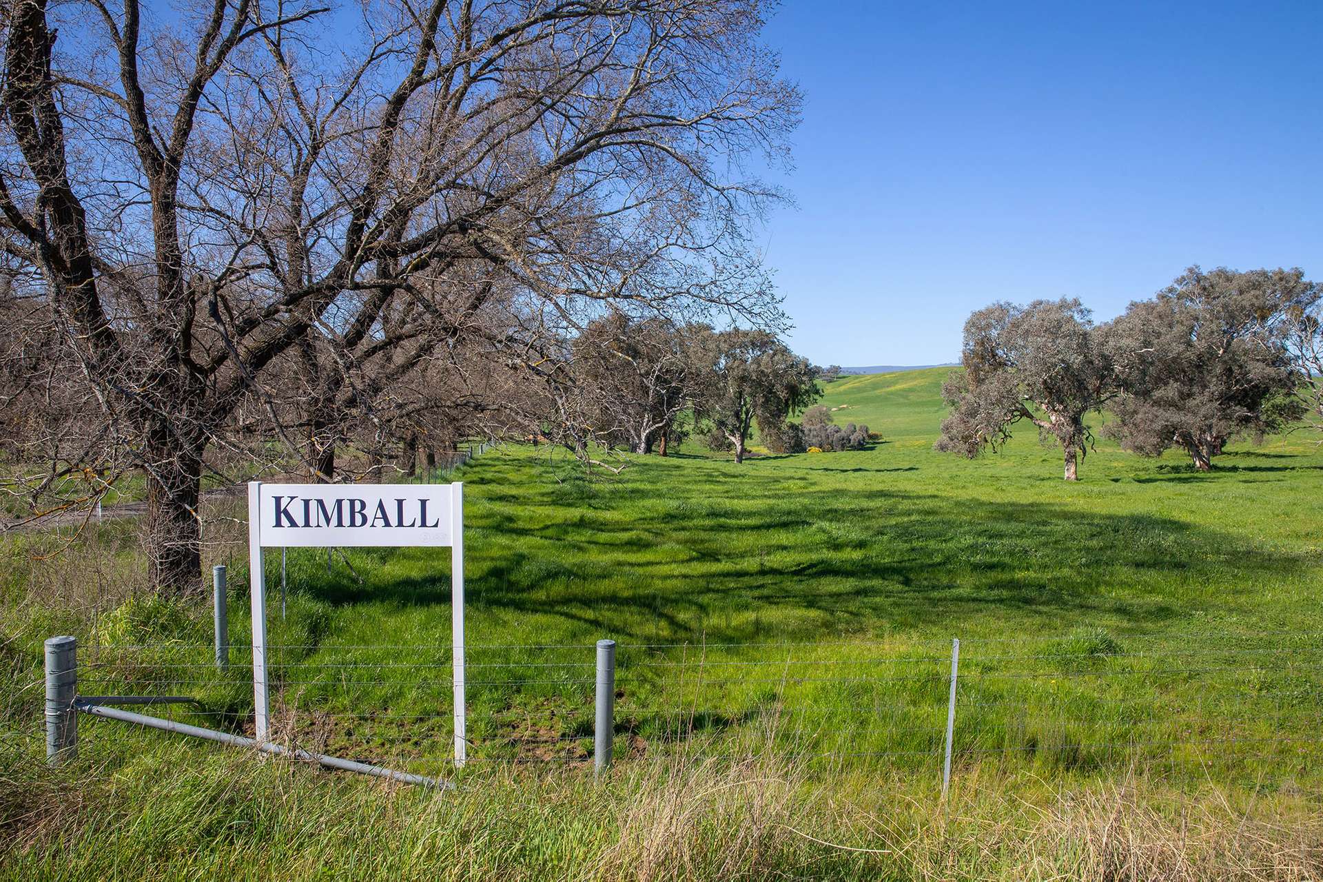 Kimball Cottage 676 Gocup Road, Tumut Auction by Farmbuy.com - image 24