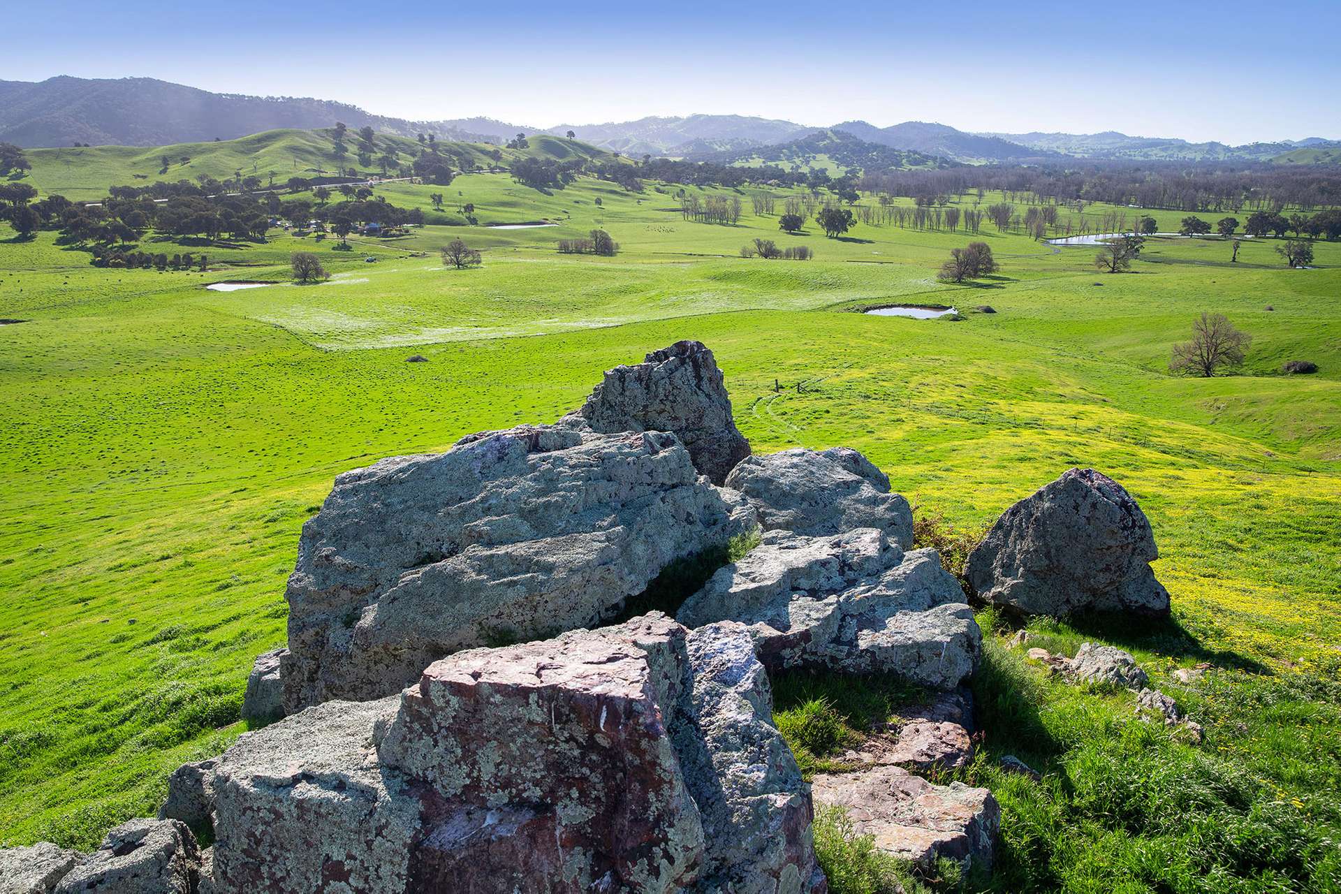 Kimball Cottage 676 Gocup Road, Tumut Auction by Farmbuy.com - image 10