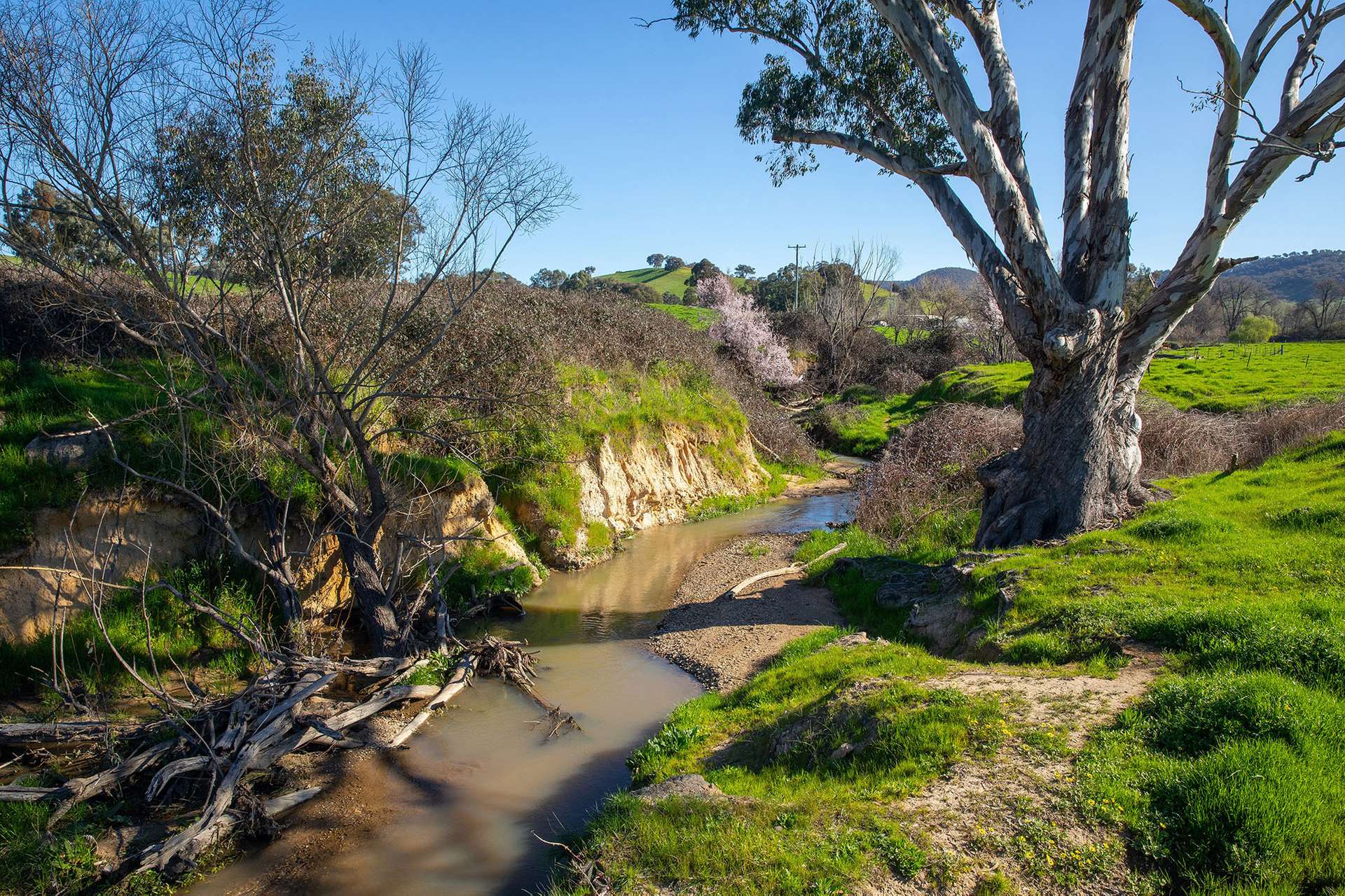 Kimball Cottage 676 Gocup Road, Tumut Auction by Farmbuy.com - image 11