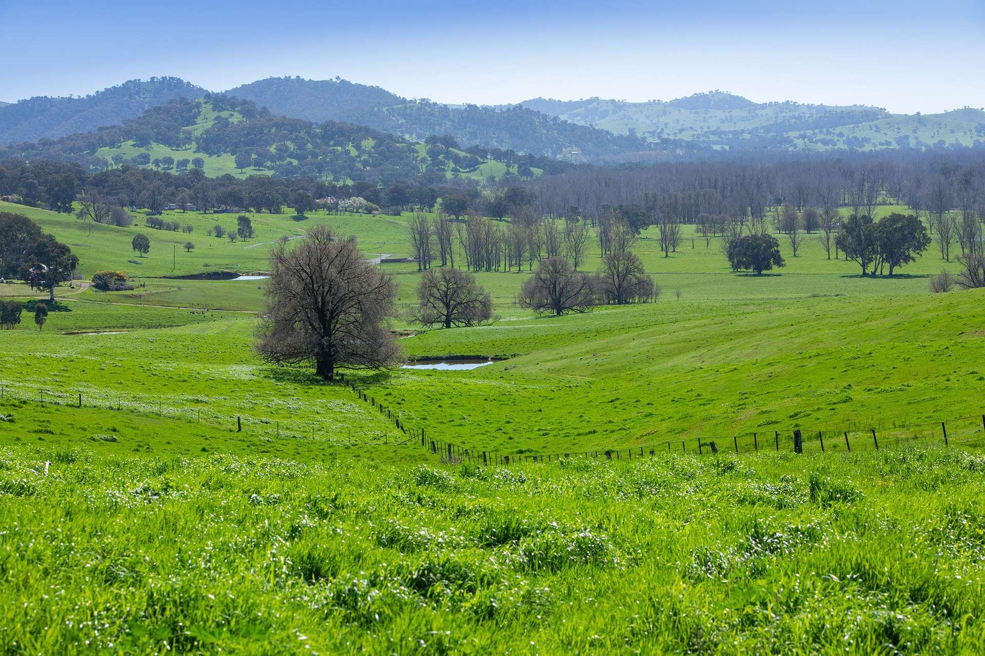 Kimball Cottage 676 Gocup Road, Tumut Auction by Farmbuy.com - image 15