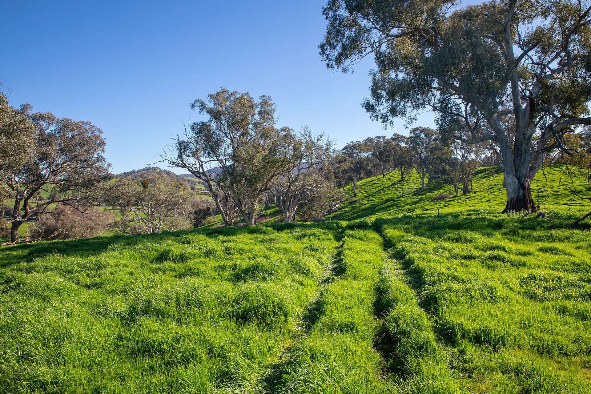 Kimball Cottage 676 Gocup Road, Tumut Auction by Farmbuy.com - image 12