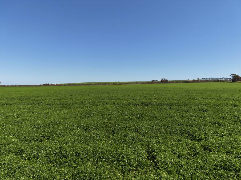 Sec 102 & 103 Kainton Road, Kainton SA 5552