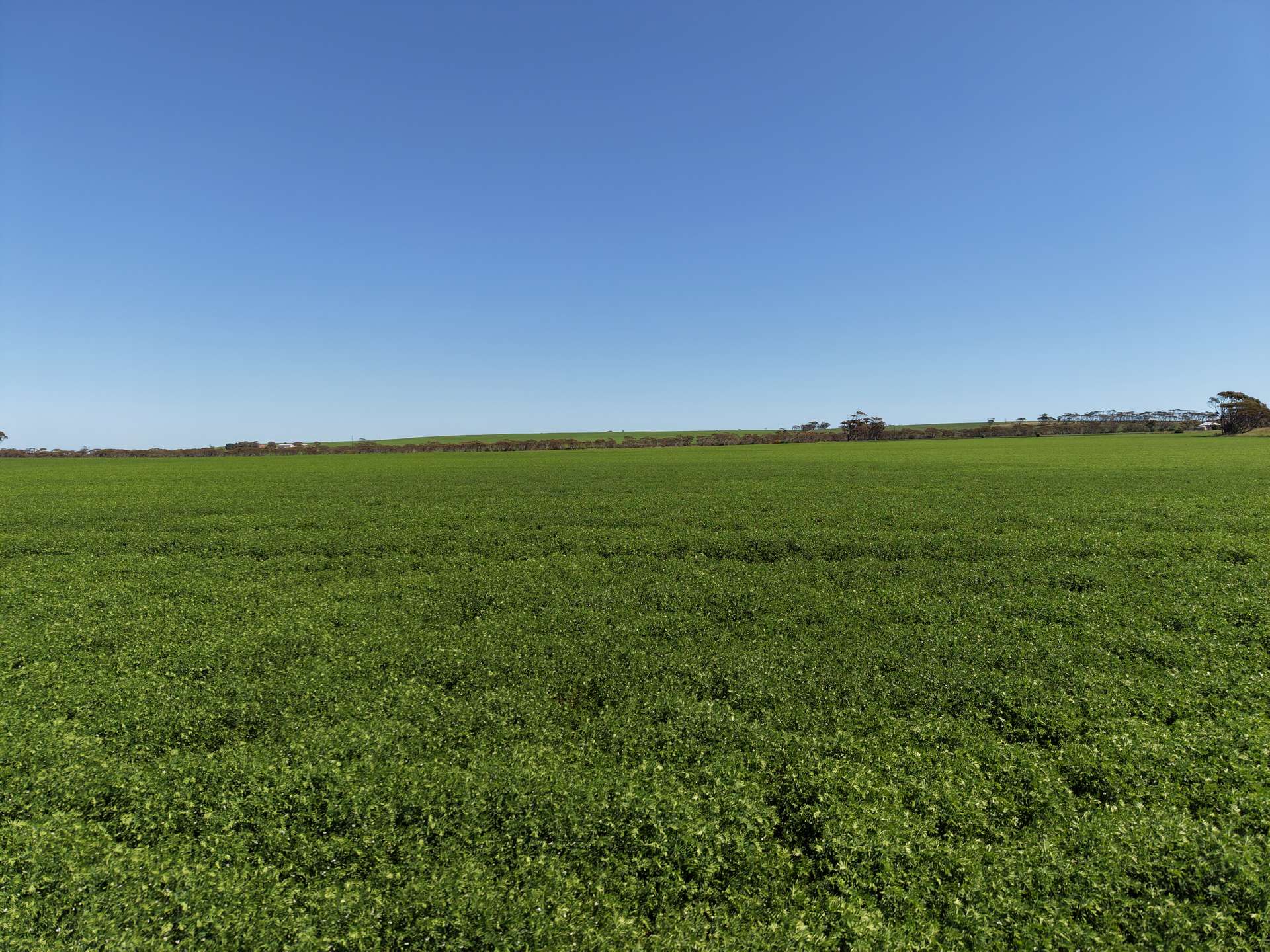 Sec 102 & 103 Kainton Road, Kainton For Sale by Farmbuy.com - image 1