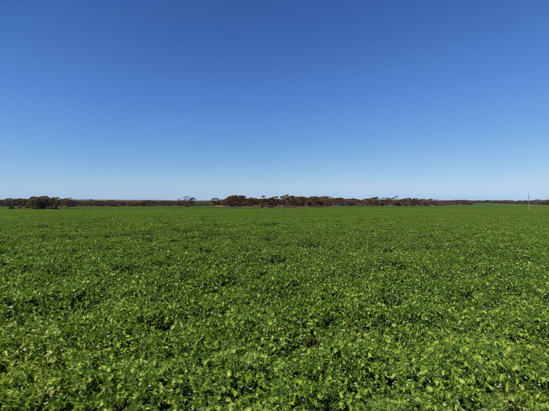 Sec 102 & 103 Kainton Road, Kainton For Sale by Farmbuy.com - image 2