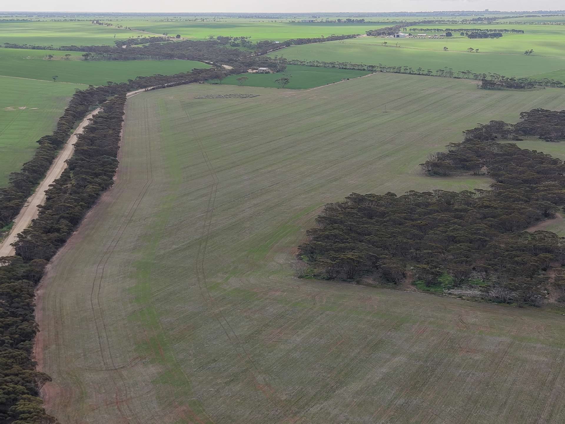 Sec 102 & 103 Kainton Road, Kainton For Sale by Farmbuy.com - image 4