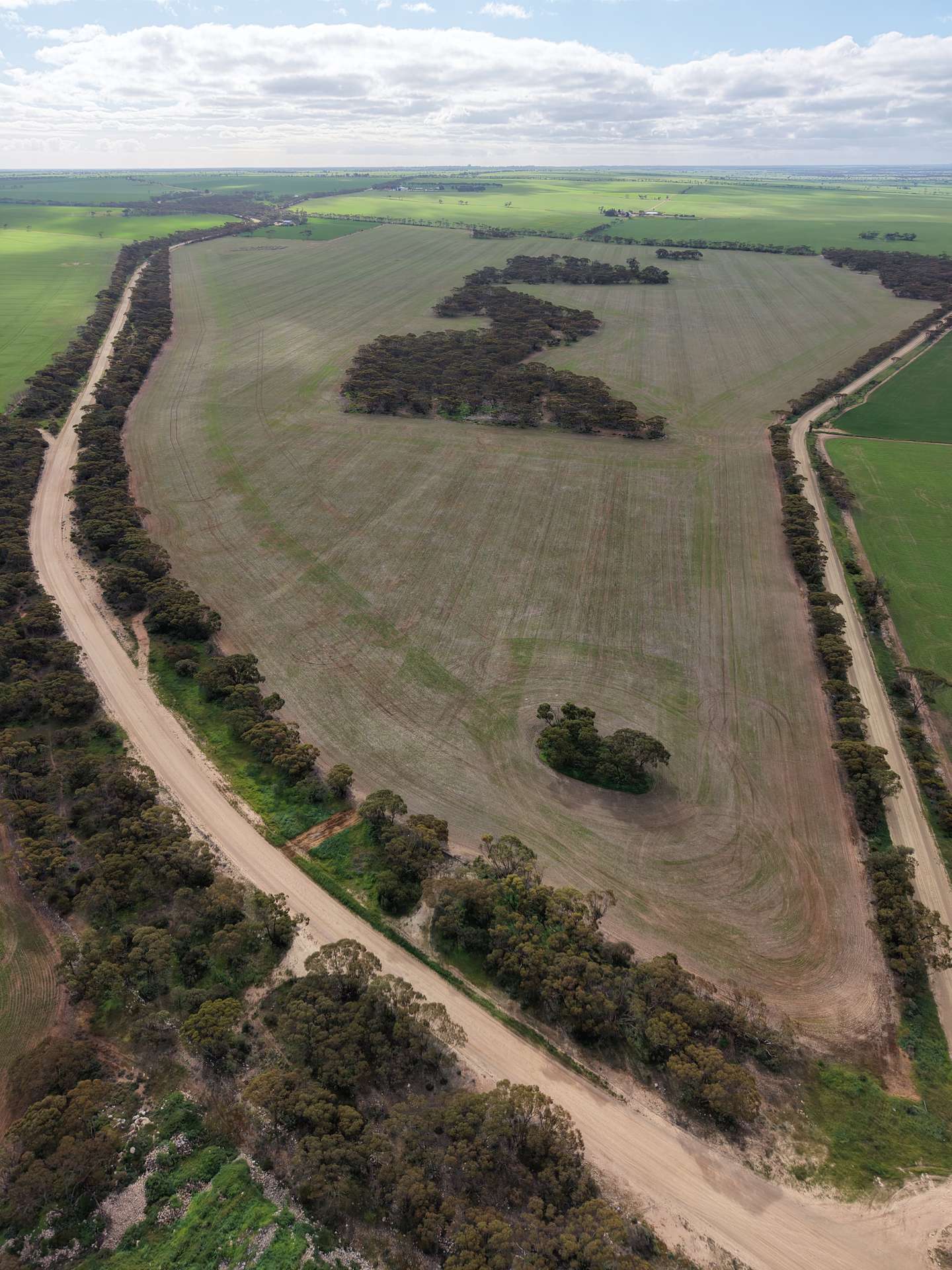 Sec 102 & 103 Kainton Road, Kainton For Sale by Farmbuy.com - image 3