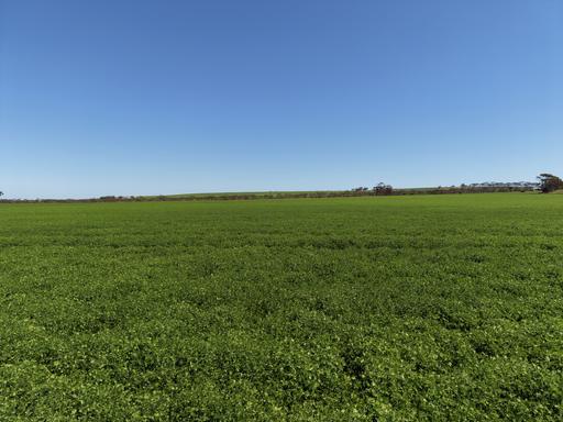Sec 102 & 103 Kainton Road, Kainton SA 5552
