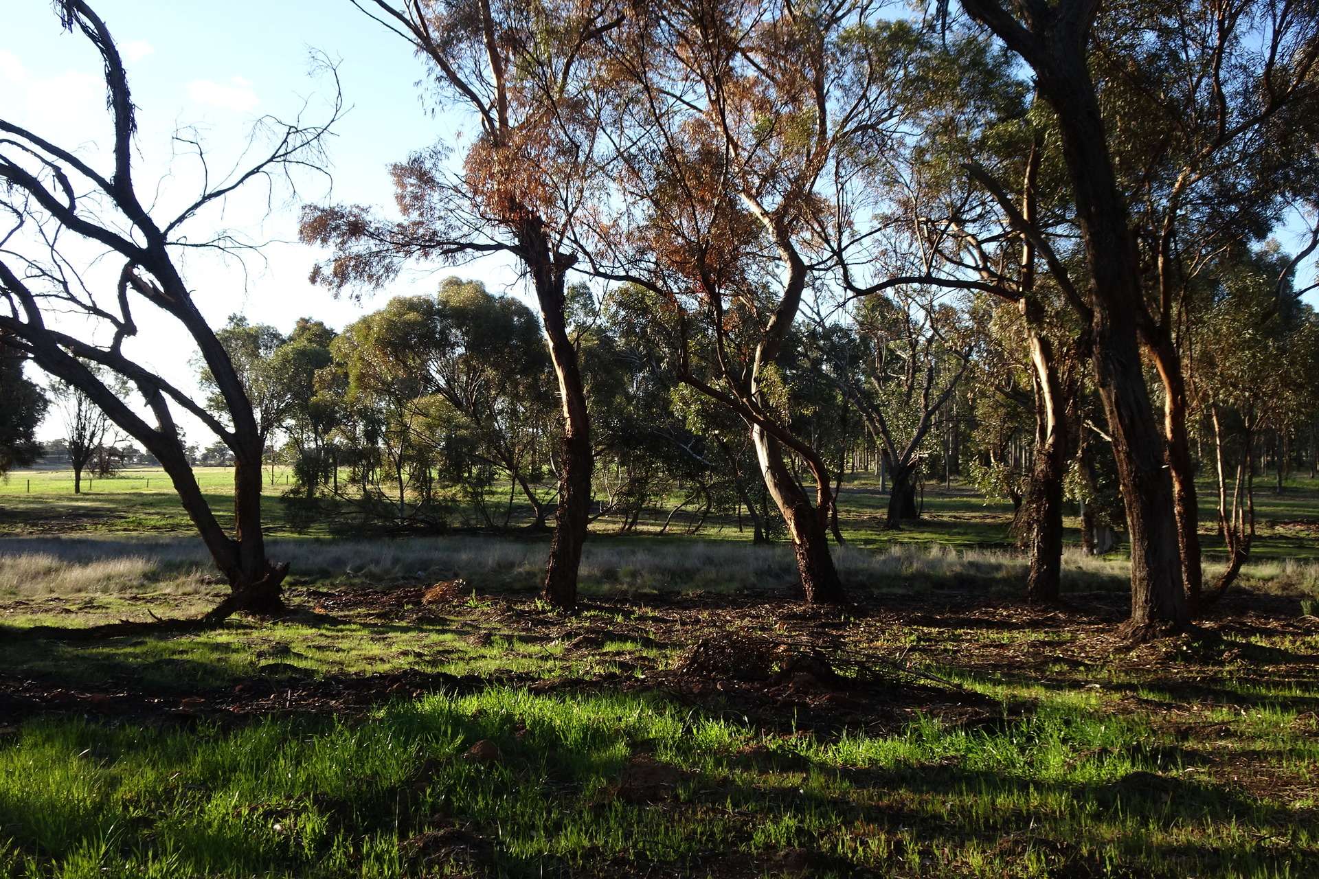 Lot 7244 Tullets Road West, Popanyinning For Sale by Farmbuy.com - image 19