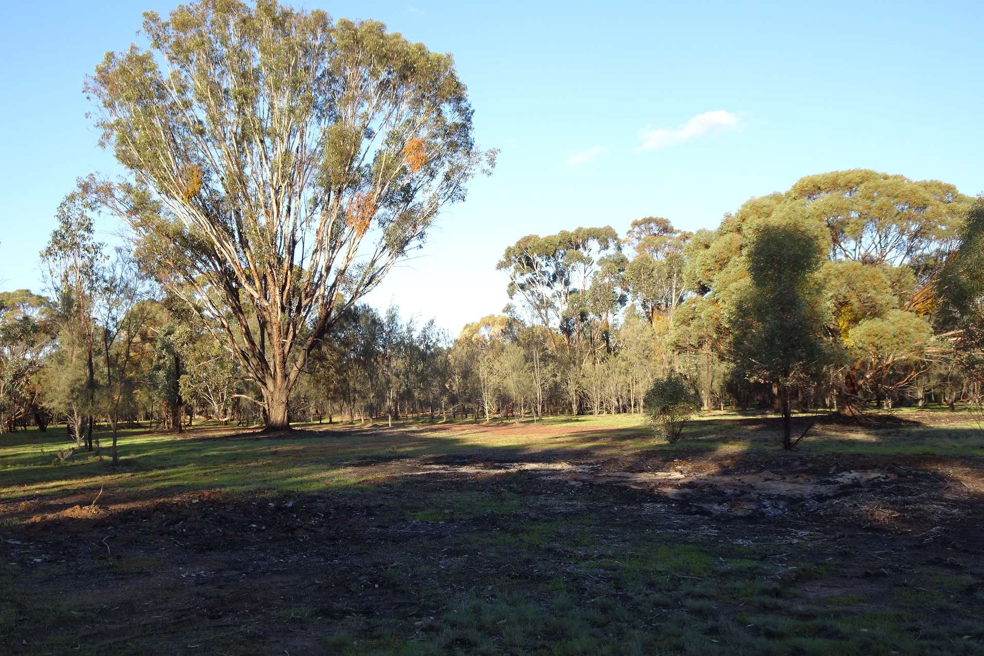 Lot 7244 Tullets Road West, Popanyinning For Sale by Farmbuy.com - image 25