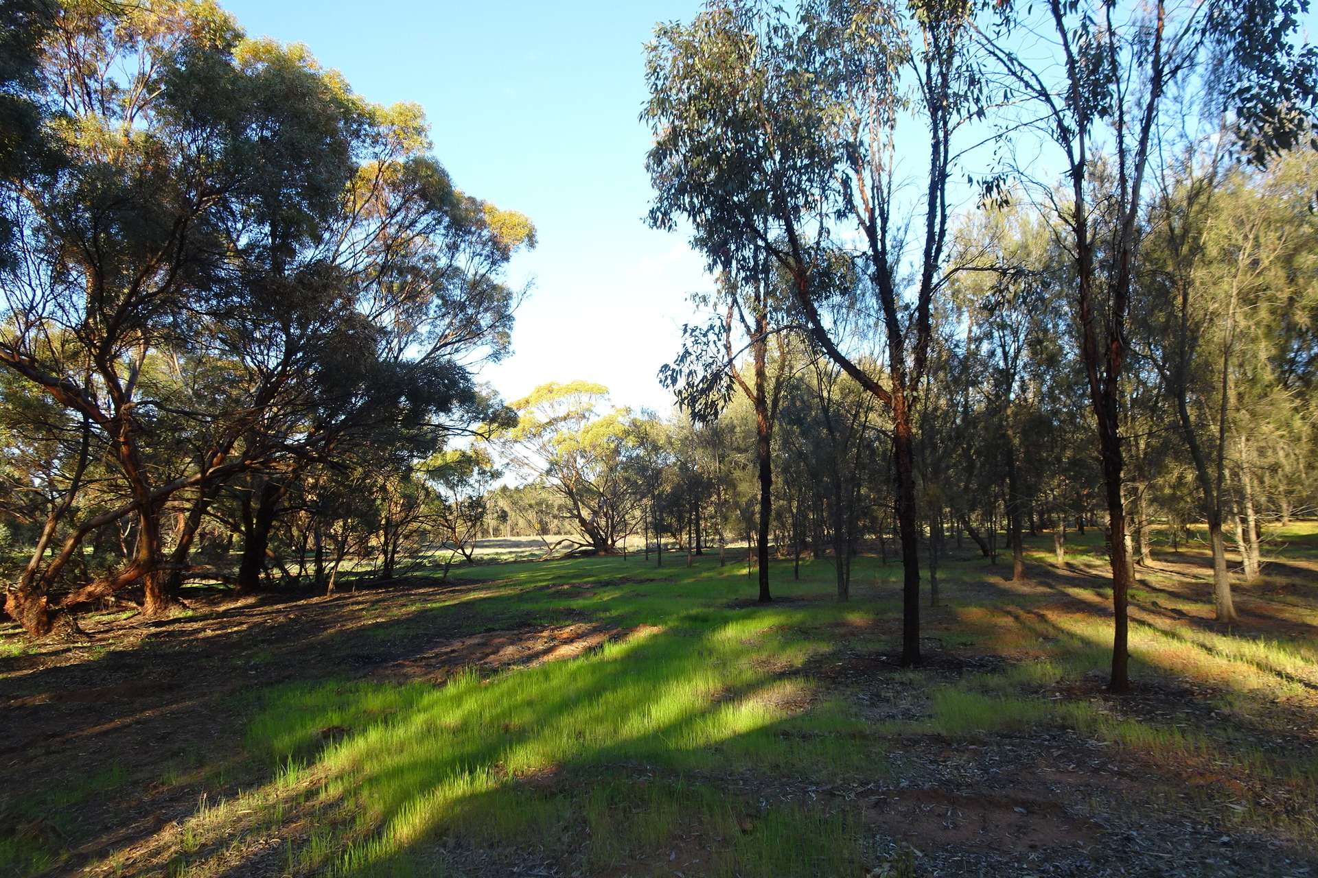 Lot 7244 Tullets Road West, Popanyinning For Sale by Farmbuy.com - image 27